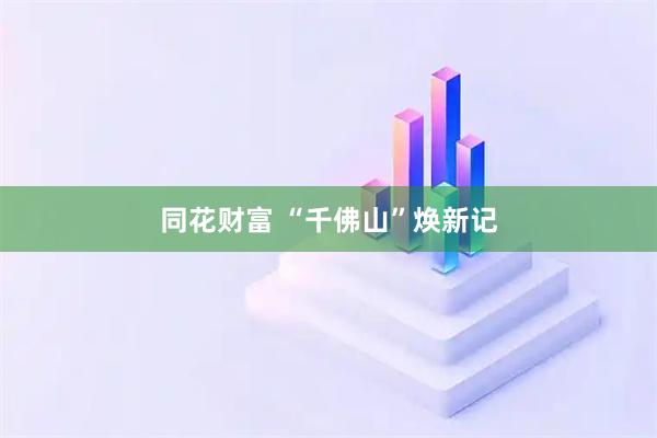 同花财富 “千佛山”焕新记