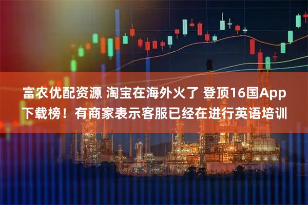 富农优配资源 淘宝在海外火了 登顶16国App下载榜！有商家表示客服已经在进行英语培训