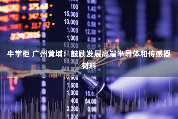 牛掌柜 广州黄埔：鼓励发展高端半导体和传感器材料
