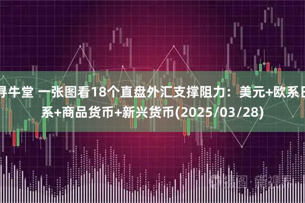 寻牛堂 一张图看18个直盘外汇支撑阻力：美元+欧系日系+商品货币+新兴货币(2025/03/28)