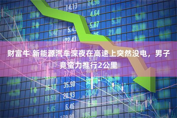 财富牛 新能源汽车深夜在高速上突然没电，男子竟蛮力推行2公里
