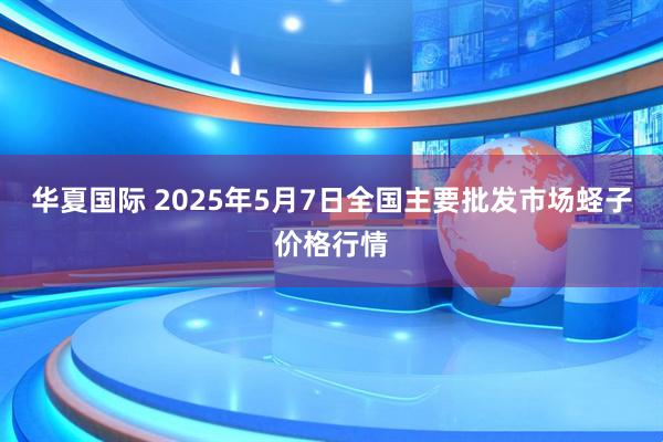 华夏国际 2025年5月7日全国主要批发市场蛏子价格行情