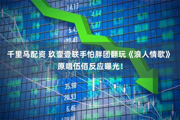 千里马配资 玖壹壹联手怕胖团翻玩《浪人情歌》　原唱伍佰反应曝光！