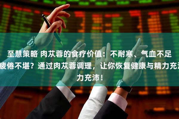 至慧策略 肉苁蓉的食疗价值：不耐寒、气血不足、疲倦不堪？通过肉苁蓉调理，让你恢复健康与精力充沛！