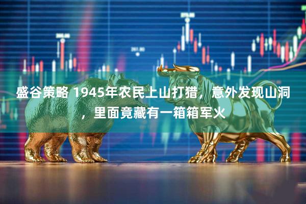 盛谷策略 1945年农民上山打猎，意外发现山洞，里面竟藏有一箱箱军火