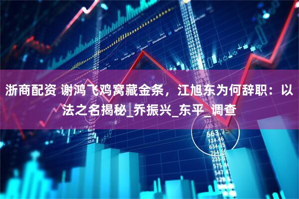 浙商配资 谢鸿飞鸡窝藏金条，江旭东为何辞职：以法之名揭秘_乔振兴_东平_调查